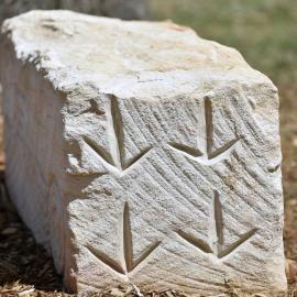 Aboriginal Heritage Garden, Nurragingy Reserve, Doonside