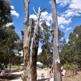 Aboriginal Heritage Garden, Nurragingy Reserve, Doonside