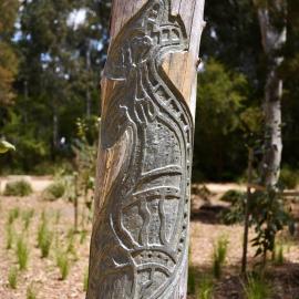 Aboriginal Heritage Garden, Nurragingy Reserve, Doonside