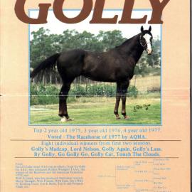 Curley D Stud, Australian Stud and Stallion Digest, 1981