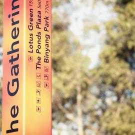 Spoonville, The Ponds, 2020