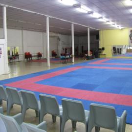 Goshin-Ryu Karate Centre, Warrick Lane, Blacktown
