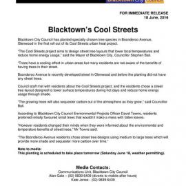 Cool Streets Project, Boonderoo Avenue Glenwood, 2016