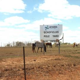 Schofields Pole Yard, Schofields