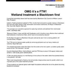 Floating treatment Wetland, William Lawson Park,  2017