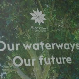 Lake Woodcroft Carp Fishout Event, 2023