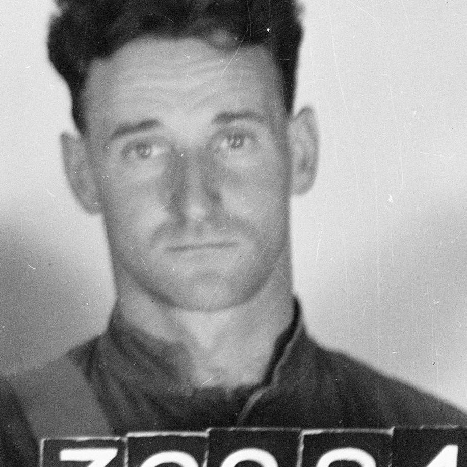 Johnston, Warren McArthur