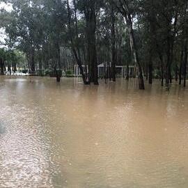 Flooding in Nurragingy Reserve, 2022