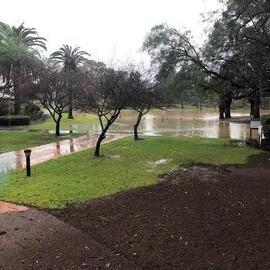 Flooding in Nurragingy Reserve, 2022