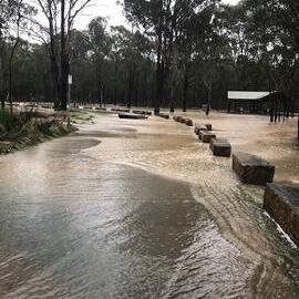 Flooding in Nurragingy Reserve, 2022