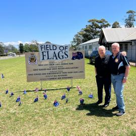 Field of Flags at Market Street, Riverstone