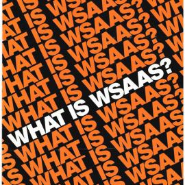 What is WSAAS Brochure, 1979
