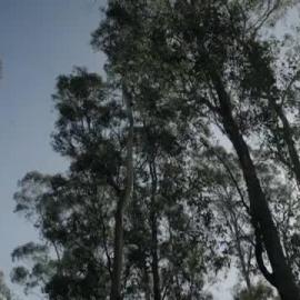 National Reconciliation Week, 2023