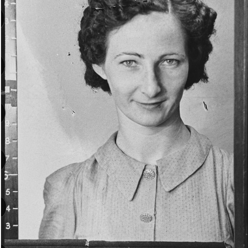 Primrose, Gloria Maria