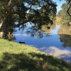 Waterway health report card, 2017-18