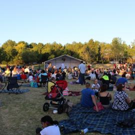 Chinese New Year 2014, Nurragingy Reserve