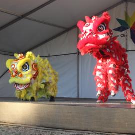 Chinese New Year 2014, Nurragingy Reserve