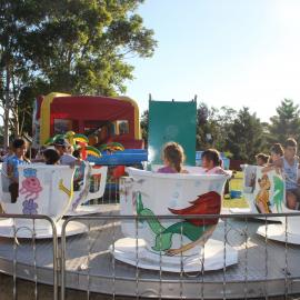 Chinese New Year 2014, Nurragingy Reserve