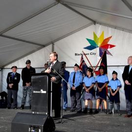 Doonside Festival, 2015