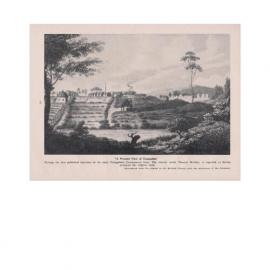 Winston Hills in Brief