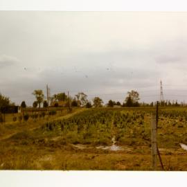 Cottage, 107 South Creek Road, Shanes Park
