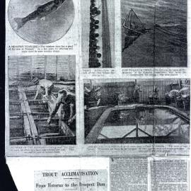 Prospect Reservoir trout hatchery newspaper article