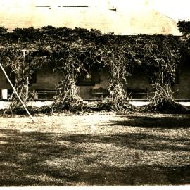 Grey Stanes House eastern elevation, Prospect
