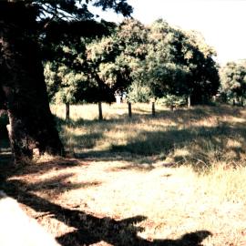 Veteran Hall site, Prospect Reservoir