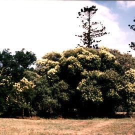 Veteran Hall site, Prospect Reservoir