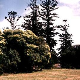 Veteran Hall site, Prospect Reservoir