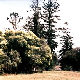 Veteran Hall site, Prospect Reservoir