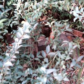 Veteran Hall bricks, Prospect