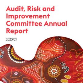 Blacktown City Council Audit, Risk & Improvement Committee Annual Report, 2020-21