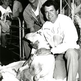 CSIRO sheep shearing