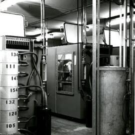 CSIRO laboratory sheep