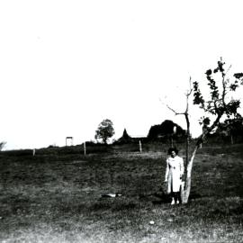 Unknown woman under a tree, Prospect