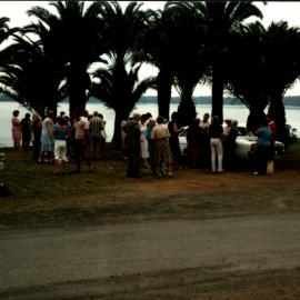 Pincott family reunion, Prospect