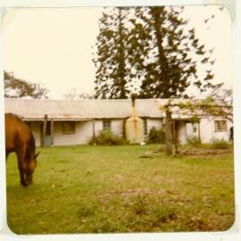 Bella Vista farm outbuilding, Bella Vista, 1981