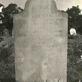 Goodin grave, St Bartholomew's, Prospect