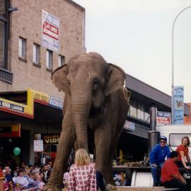 Blacktown City Festival, 1993