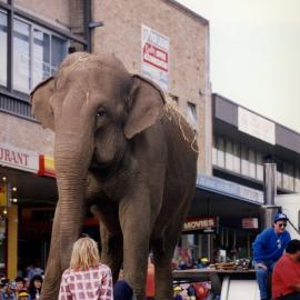 Blacktown City Festival, 1993