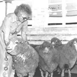Anne Stichter, wool classing judge