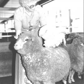 Anne Stichter, wool classing judge