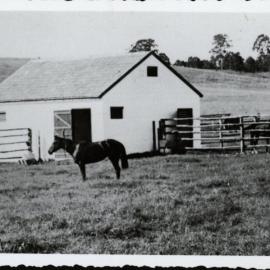 Bungarribee House, Doonside