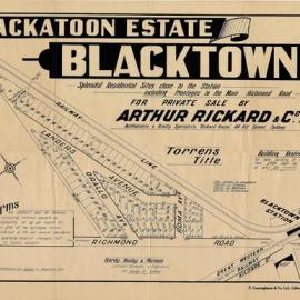 Yackatoon Estate, Blacktown