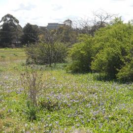Site of the former Government Depot, Rooty Hill