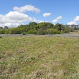 Site of the former Government Depot, Rooty Hill