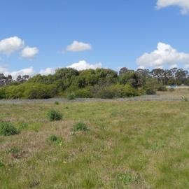 Site of the former Government Depot, Rooty Hill