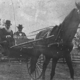 Men in horse and sulky