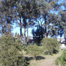 Valentine Park Soccer Complex, Glenwood